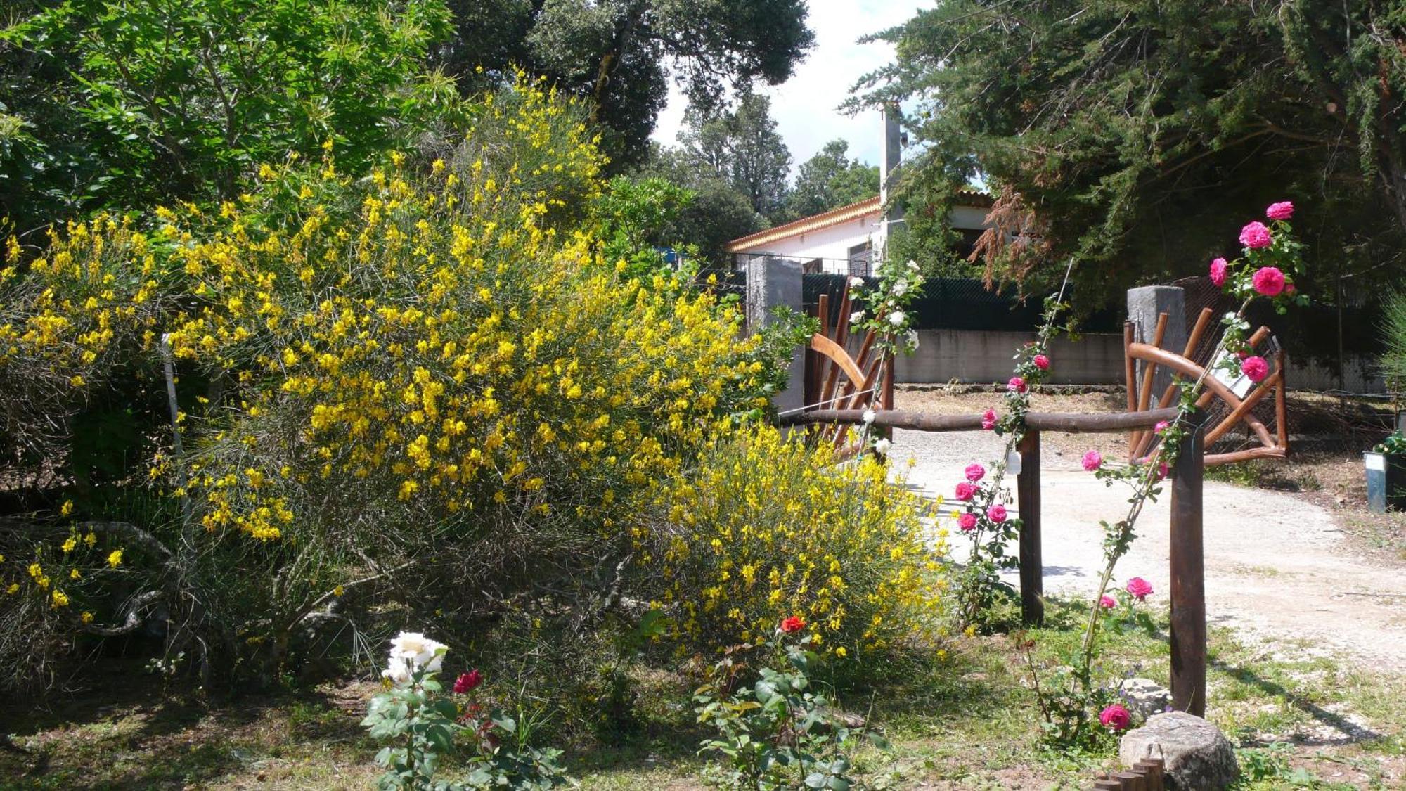 Casa Solotti Nuoro (Sardinia) Exterior foto